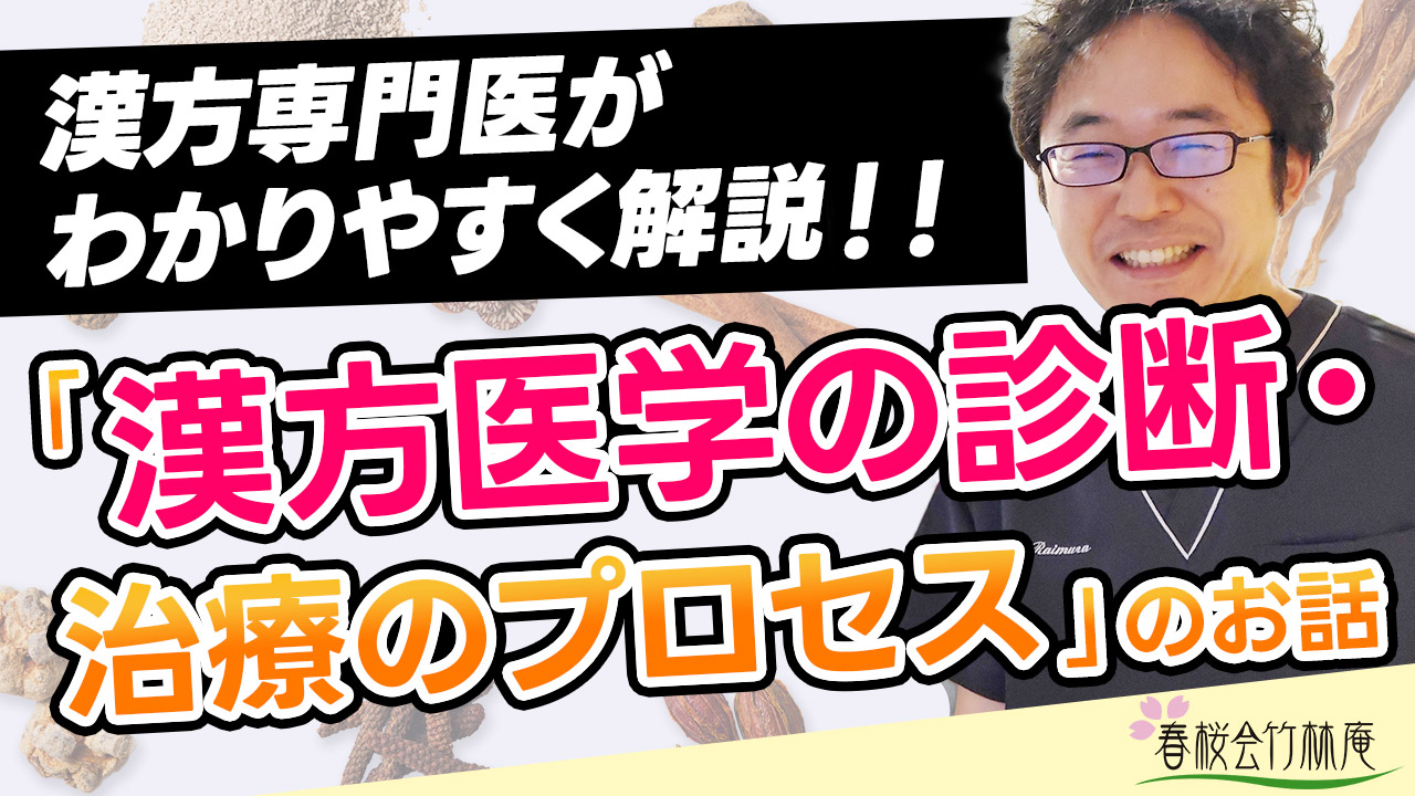 漢方医学の診断・治療のプロセス